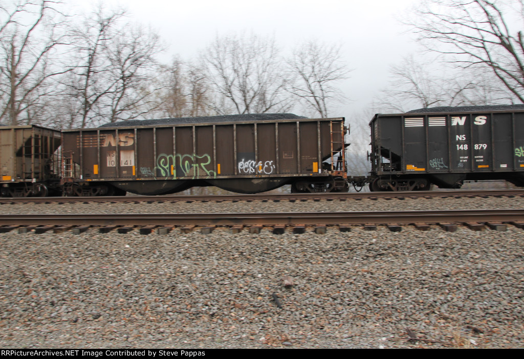 NS 10141